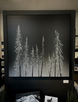 A Frosted Stand I  7/25  (40"x40")