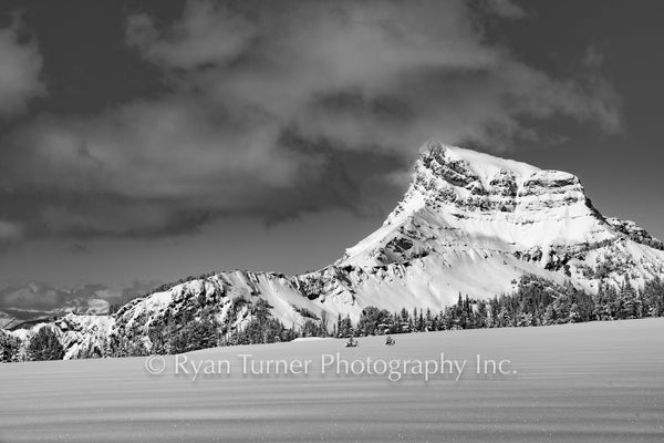 A Winter Day on Buck Ridge