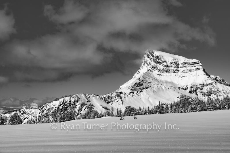 A Winter Day on Buck Ridge