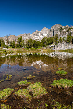 Summer Reflections in Beehive Basin
