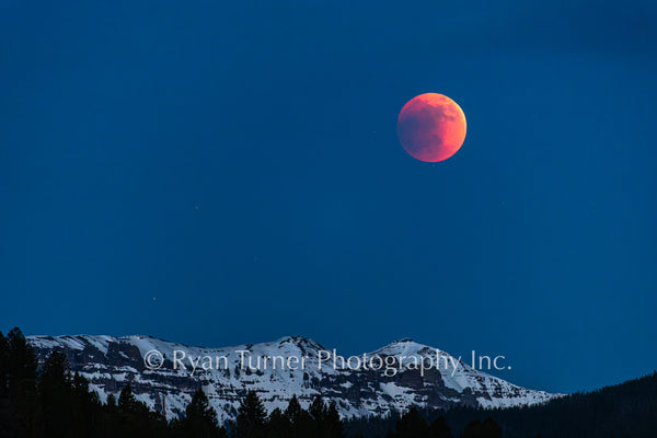 Blood Moon Over Ramshorn Peak