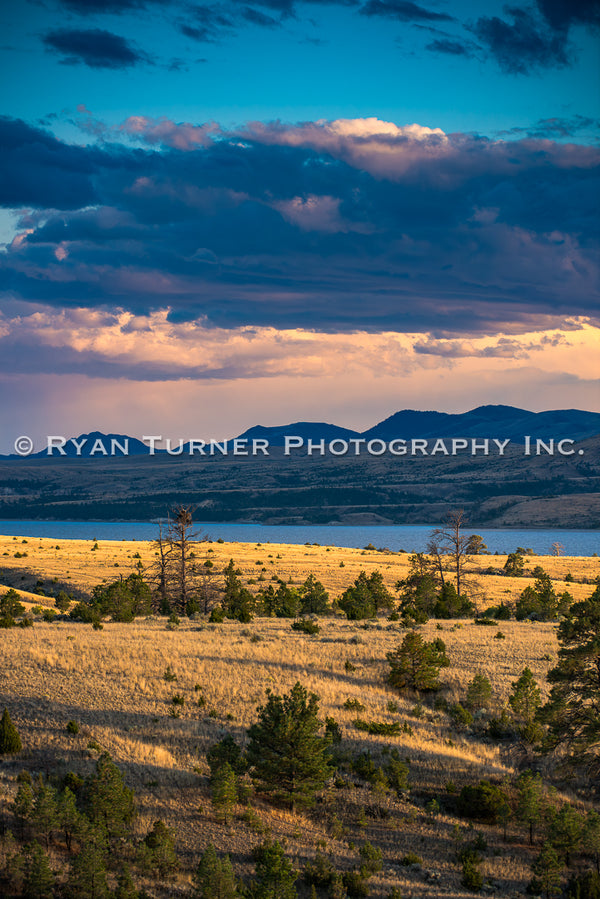 Canyon Ferry Eagles