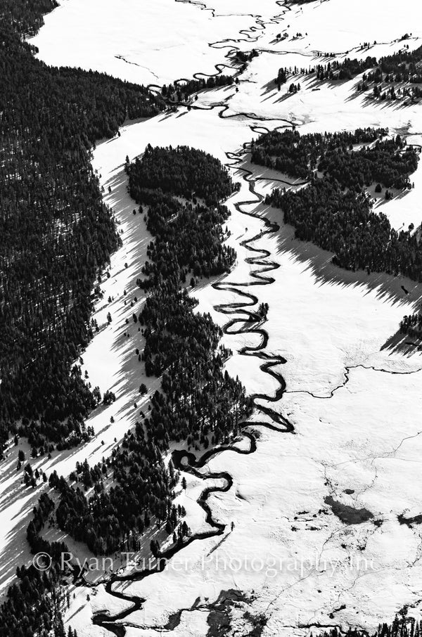 Meandering in Yellowstone