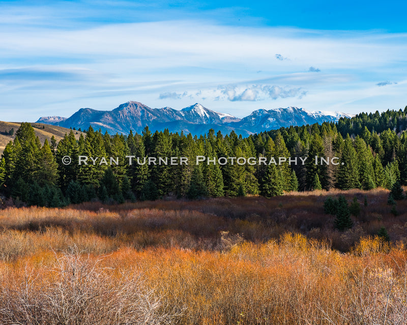 Fall in Madison County