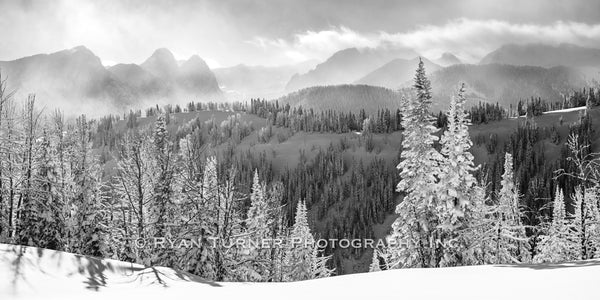 Gazing into a Winter Wonderland - Panoramic
