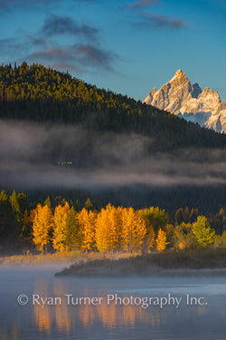 Glowing Flock in the Tetons