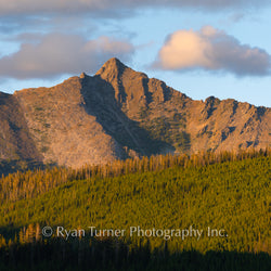 Summer's Glow on Wilson Peak