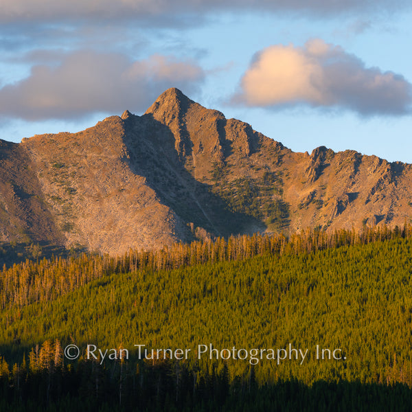 Summer's Glow on Wilson Peak