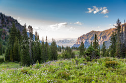 An Evening in Hyalite Canyon