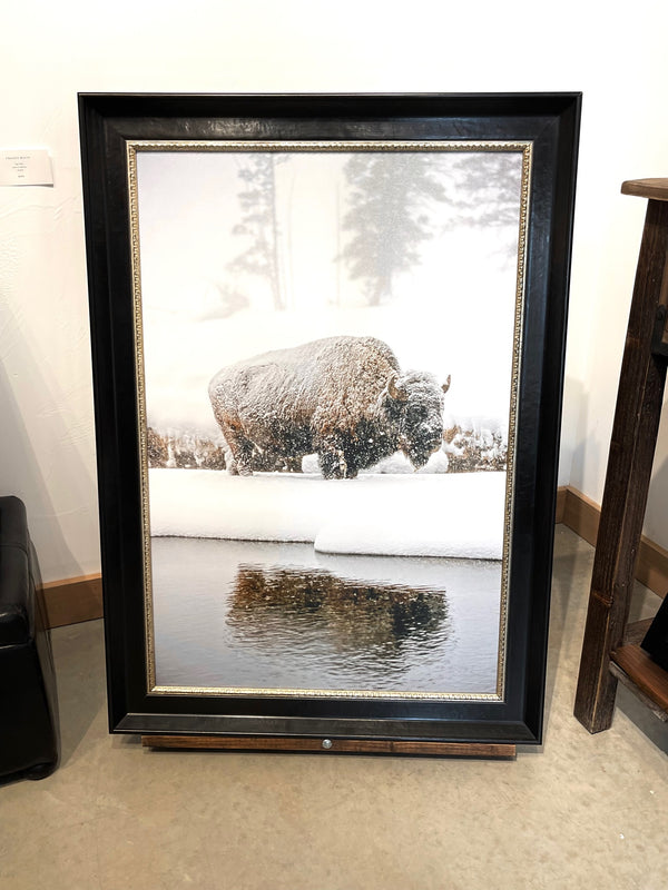 Frozen Bison 66/150 (35"x25")
