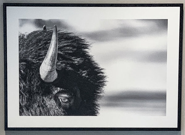 Onward 6/25 (42"x59")