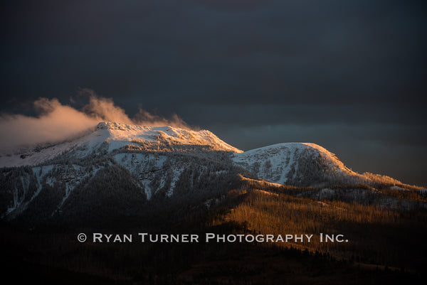 Late Evening Glow