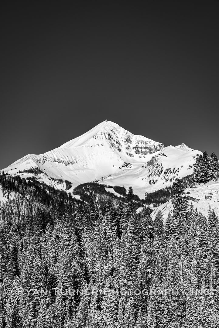 Lone Peak Beyond the Forest