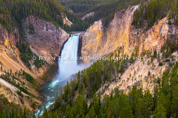 Lower Falls in Yellowstone