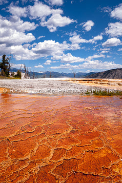 Colors of Mammoth Hot Springs
