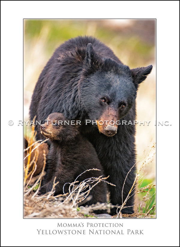 Momma's Protection - Notecard