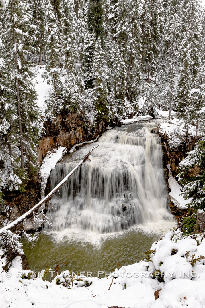 Ousel Falls in the Snowy Spring