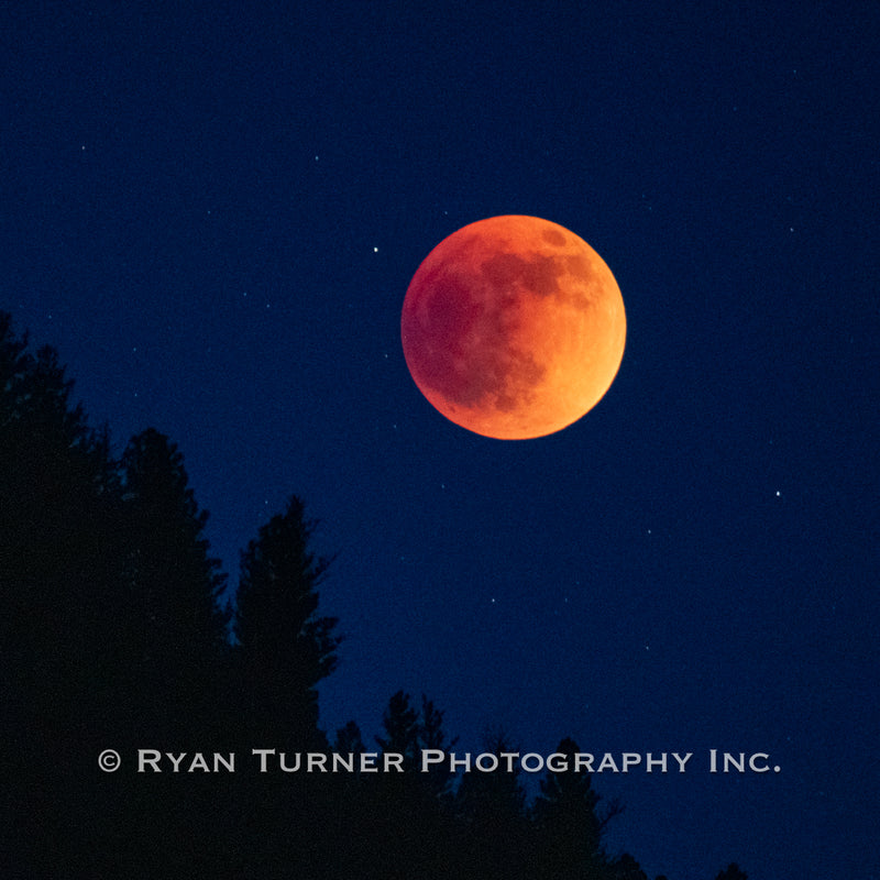 Blood Moon Eclipse - 2022