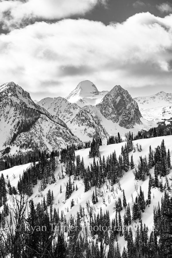 Looking into the Alpine