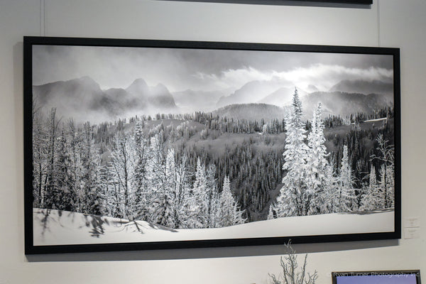 Gazing into a Winter Wonderland (38"x73")