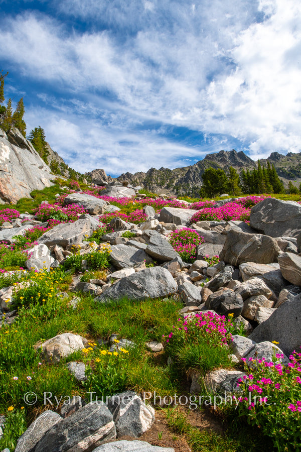 Beehive's Flower Garden
