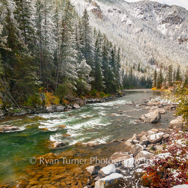 Gallatin Canyon's Screaming Left
