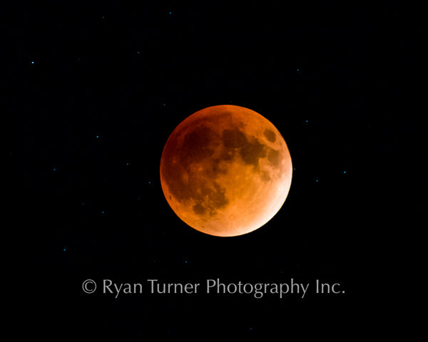Blood Moon Eclipse - 2015
