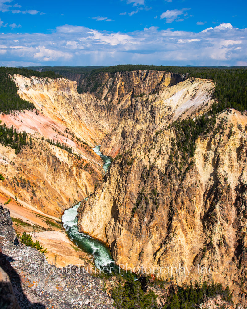 A Yellowstone River Grand Canyon View