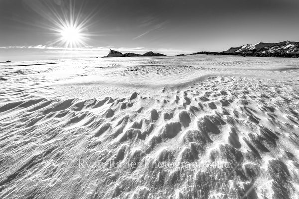 Windswept Alpine