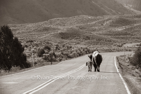 Mother's Guidance Down the Road Sepia