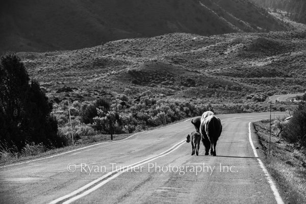 Mother's Guidance Down the Road