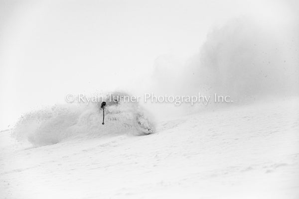 In the White Room