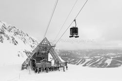 Tram Line 2015