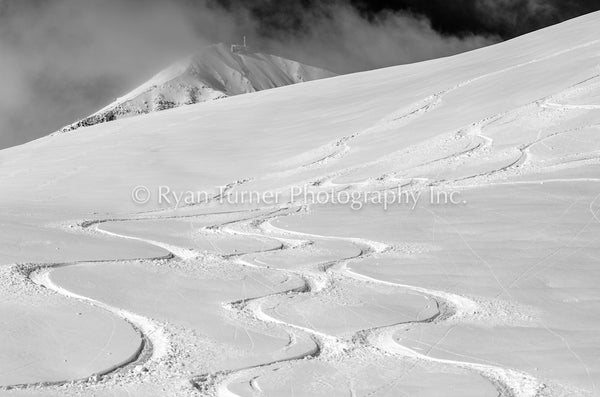 Dreamy Lines