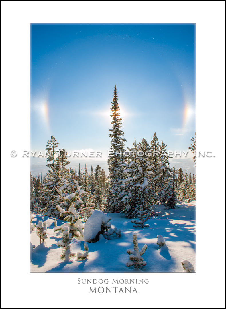 Sundog Morning - Notecard