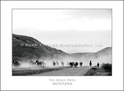 The Horse Drive - Notecard