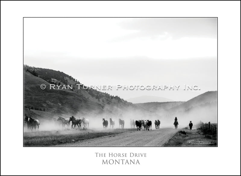 The Horse Drive - Notecard