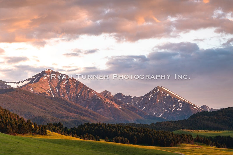 Montana's Summer Glow