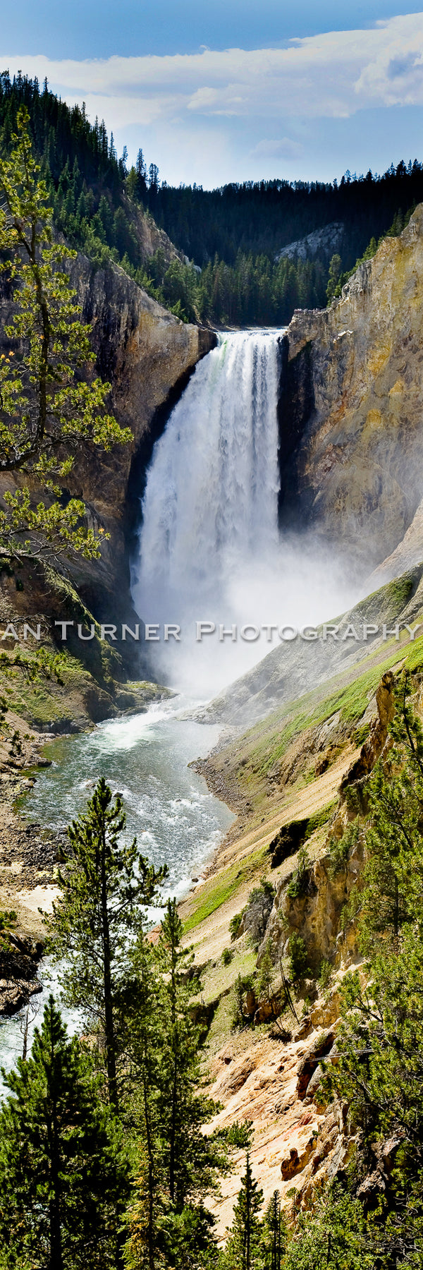 Lower Falls of Yellowstone