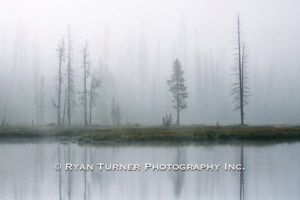 Silence on the Lewis River