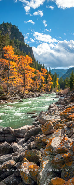 Mossy Rocks Along the Gallatin River in the Fall