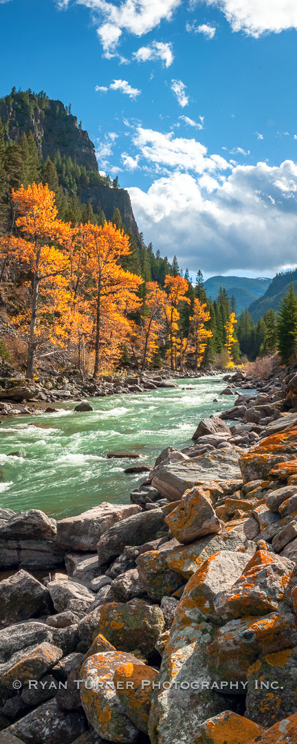 Mossy Rocks Along the Gallatin River in the Fall