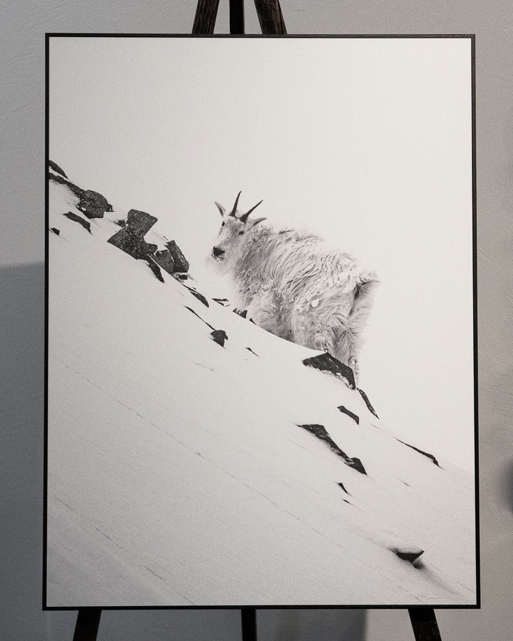 Lone Mountain Goat (24"x18")