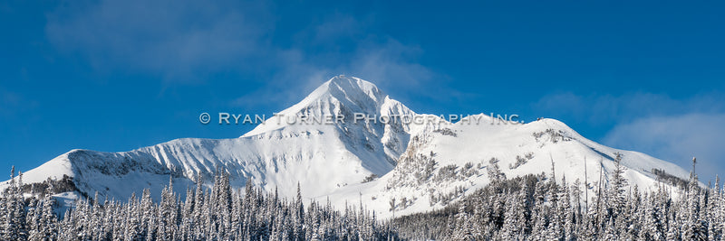 Blue Bird Lone Peak