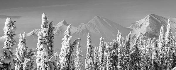 After the Snowfall
