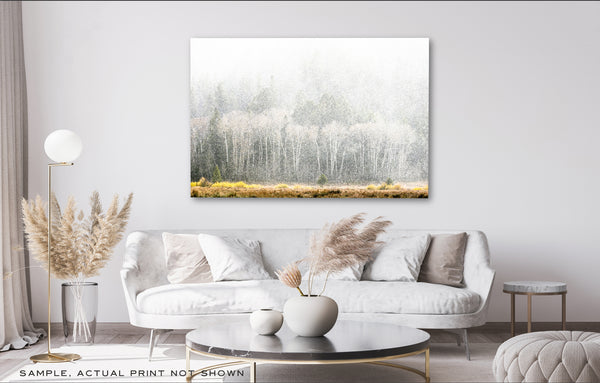 Impressionistic Aspens 21/150 (40"x60")