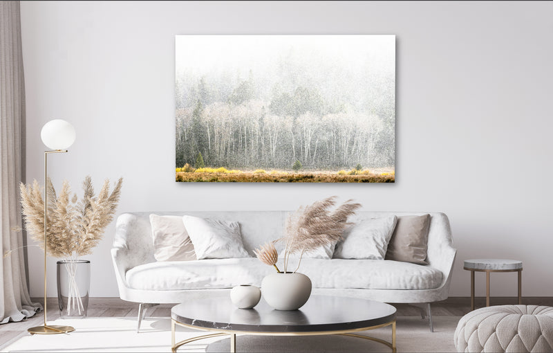 Impressionistic Aspens