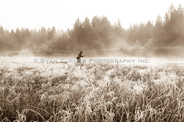 Fly Fishing Along the Frosty Madison