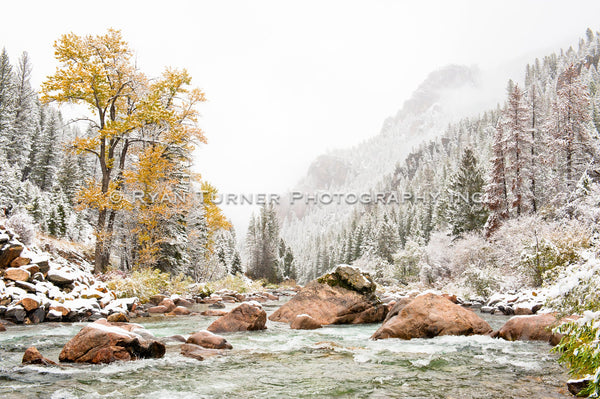 Winter Approaches on the Gallatin