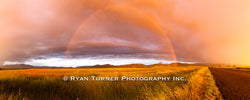 Gallatin Valley Rainbow